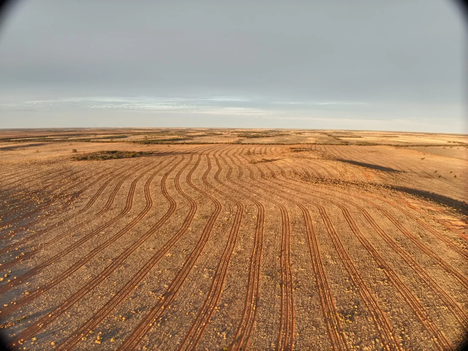 DJI_20240509172102_0010_D-scaled