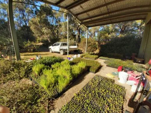 3-Preparing-for-planting